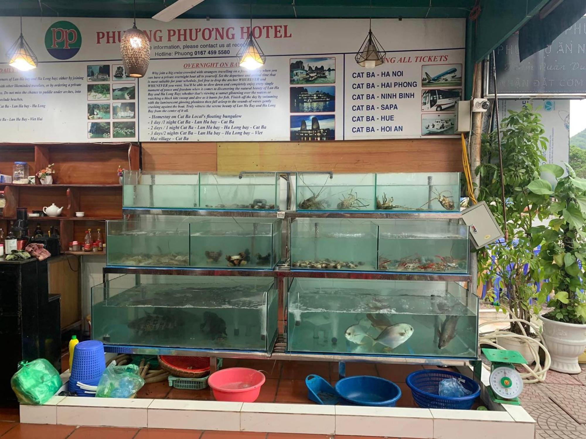Phuong Phuong Hotel Dong Khe Sau Extérieur photo